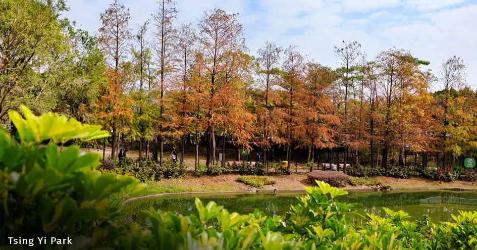 Tsing Yi Park